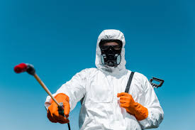 Real Estate Pest Inspections in Rockland, ME